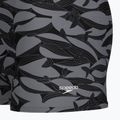 Плавки-боксерки чоловічі Speedo Print Beachstar Square Leg Anthracite/Coin Grey 8
