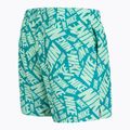 Чоловічі шорти для плавання Nike Tossed 5 "Volley плавальні шорти парові зелені 3