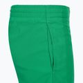 Шорти для плавання дитячі Nike Essential 4" Volley stadium green 4