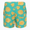 Шорти для плавання чоловічі Nike Multi Print 5" Volley dusty cactus 2