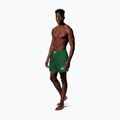 Шорти для плавання чоловічі Nike Logo Lap 5" Volley malachite 2