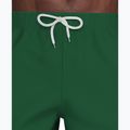 Шорти для плавання чоловічі Nike Logo Lap 5" Volley malachite 6