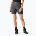 Шорти трекінгові жіночі REGATTA Chaska III seal grey