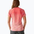Футболка жіноча REGATTA Laxley II peach bloom ombre 3