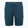 Шорти трекінгові чоловічі REGATTA Leesville III moonlight denim 6