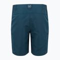 Шорти трекінгові чоловічі REGATTA Leesville III moonlight denim 7