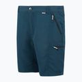 Шорти трекінгові чоловічі REGATTA Leesville III moonlight denim 8