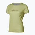 Футболка для бігу чоловіча Mizuno Core Graphic Short Sleeve beechnuts