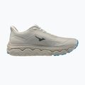 Кросівки для бігу чоловічі Mizuno Wave Horizon 9 foggy dew/dark slate/blue jewel 2