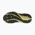 Кросівки для бігу жіночі Mizuno Neo Lumina sea spray/mentholated/beechnut 4
