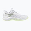 Кросівки волейбольні жіночі Mizuno Wave Momentum Pro white/aqua gray/ambrosia
