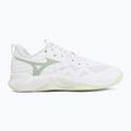 Кросівки волейбольні жіночі Mizuno Wave Momentum Pro white/aqua gray/ambrosia 2