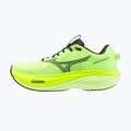 Кросівки для бігу чоловічі Mizuno Wave Rider 30 lime pulp/black oyster/gf white