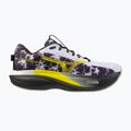 Кросівки для бігу чоловічі Mizuno Wave Rider 30 Amsterdam white/black