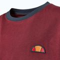 Футболка чоловіча Ellesse Ferdorini burgundy 4