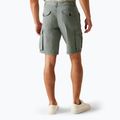 Шорти трекінгові чоловічі REGATTA Shorebay II storm grey 3
