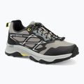 Кросівки трекінгові чоловічі REGATTA Blaze grey/black/lime