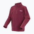 Кофта флісова дитяча REGATTA Hot Shot II dark pimento 3