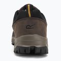 Черевики трекінгові чоловічі REGATTA Blake Low peat/wood 6