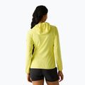 Кофта трекінгова жіноча REGATTA Huntdale canary yellow 3