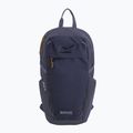 Рюкзак міський REGATTA Everyday Prism 20 l night sky