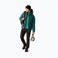 Куртка утеплена чоловіча Dare 2b Torrek Padded Jacket mediterranea 2