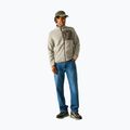Кофта флісова чоловіча REGATTA Frankie Borg abbeystone/smokey olive 2