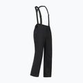 Штани лижні чоловічі Dare 2b Achieve III Pant black 10