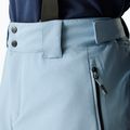Штани лижні чоловічі Dare 2b Achieve III Pant dusky blue 5
