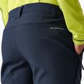Штани софтшел чоловічі REGATTA Geo Softshell navy 6