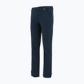 Штани софтшел чоловічі REGATTA Geo Softshell navy 9