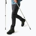 Штани софтшел чоловічі REGATTA Geo Softshell ash
