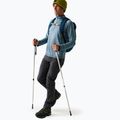 Штани софтшел чоловічі REGATTA Geo Softshell ash 2