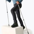 Штани софтшел чоловічі REGATTA Geo Softshell ash 3