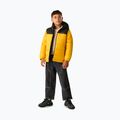 Куртка утеплена дитяча REGATTA Lofthouse black/mustard 2