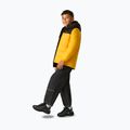 Куртка утеплена дитяча REGATTA Lofthouse black/mustard 3
