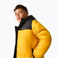 Куртка утеплена дитяча REGATTA Lofthouse black/mustard 6