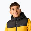 Куртка утеплена дитяча REGATTA Lofthouse black/mustard 7