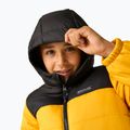 Куртка утеплена дитяча REGATTA Lofthouse black/mustard 8