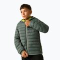 Куртка утеплена дитяча REGATTA Lofthouse dark forest green/wild lime 4