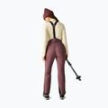 Штани лижні жіночі Dare 2b Effused III Pant huckleberry 3