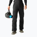 Штани лижні чоловічі Dare 2b Baseplate Insulated Pant black