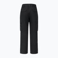 Штани лижні чоловічі Dare 2b Baseplate Insulated Pant black 11