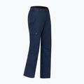 Штани лижні чоловічі Dare 2b Baseplate Insulated Pant navy 11