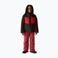 Куртка лижна дитяча Dare 2b Cheery black/danger red 2