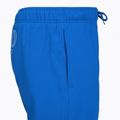 Шорти для плавання чоловічі Speedo Classic Logo Volley 16" turkish sea 4