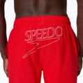 Шорти для плавання чоловічі Speedo Classic Logo Volley 16" high risk red 6