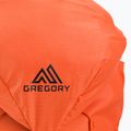Рюкзак для скелелазіння Gregory Alpinisto 28 l помаранчевий 02J*86055 4