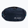 Барсетка Gregory Nano Waistpack синя 126861 3