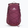 Рюкзак туристичний Gregory Kiro 22 l amethyst purple